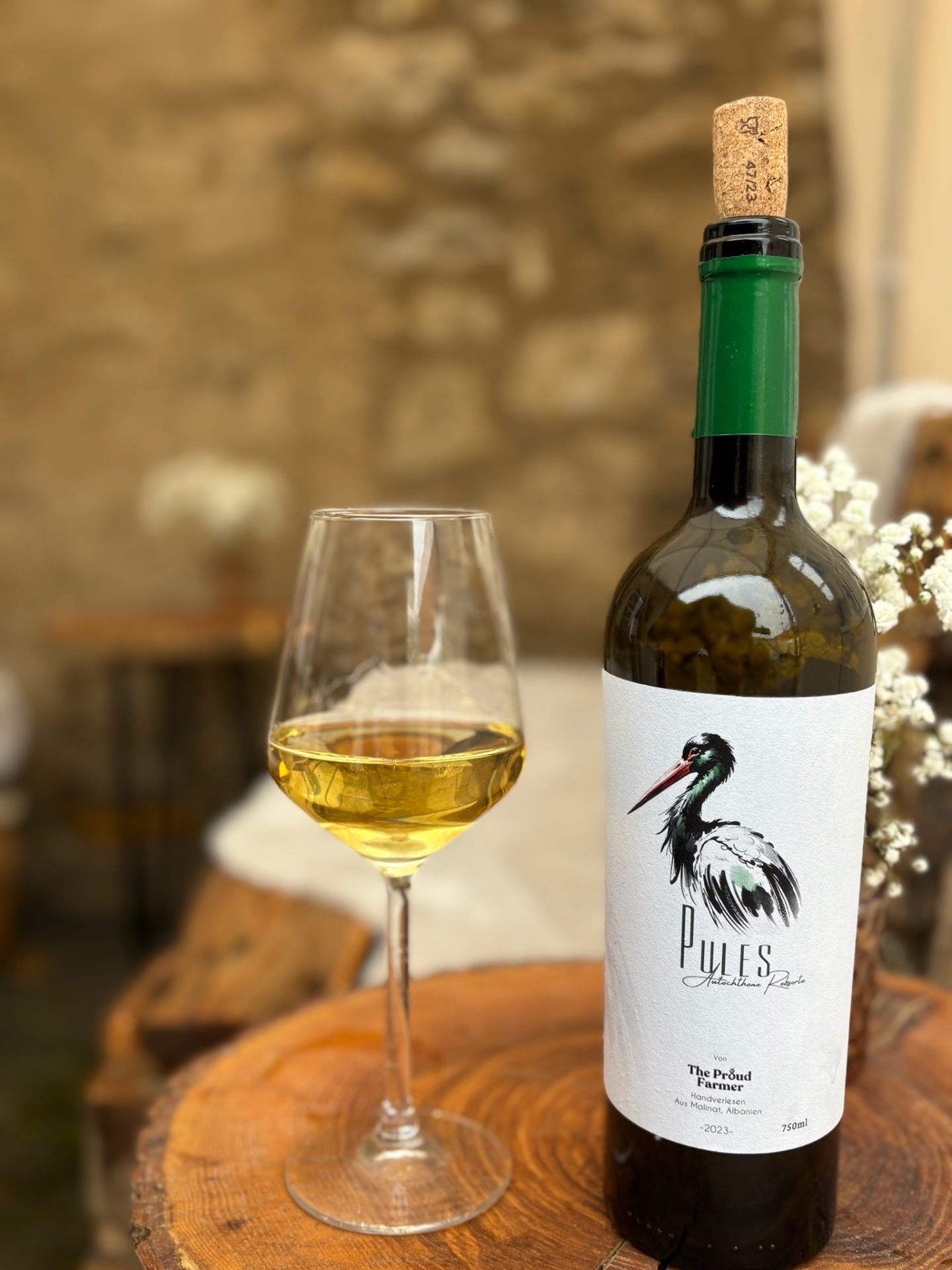Albanischer Weißwein Pules von The Proud Farmer im Glas